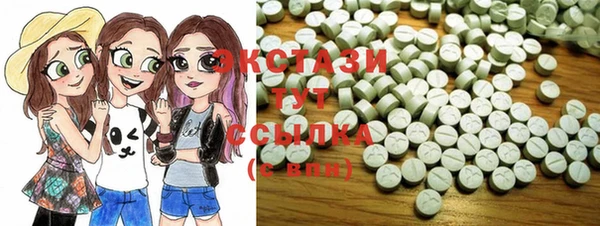 ECSTASY Богородицк