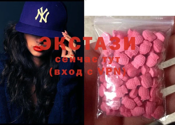 ECSTASY Богородицк